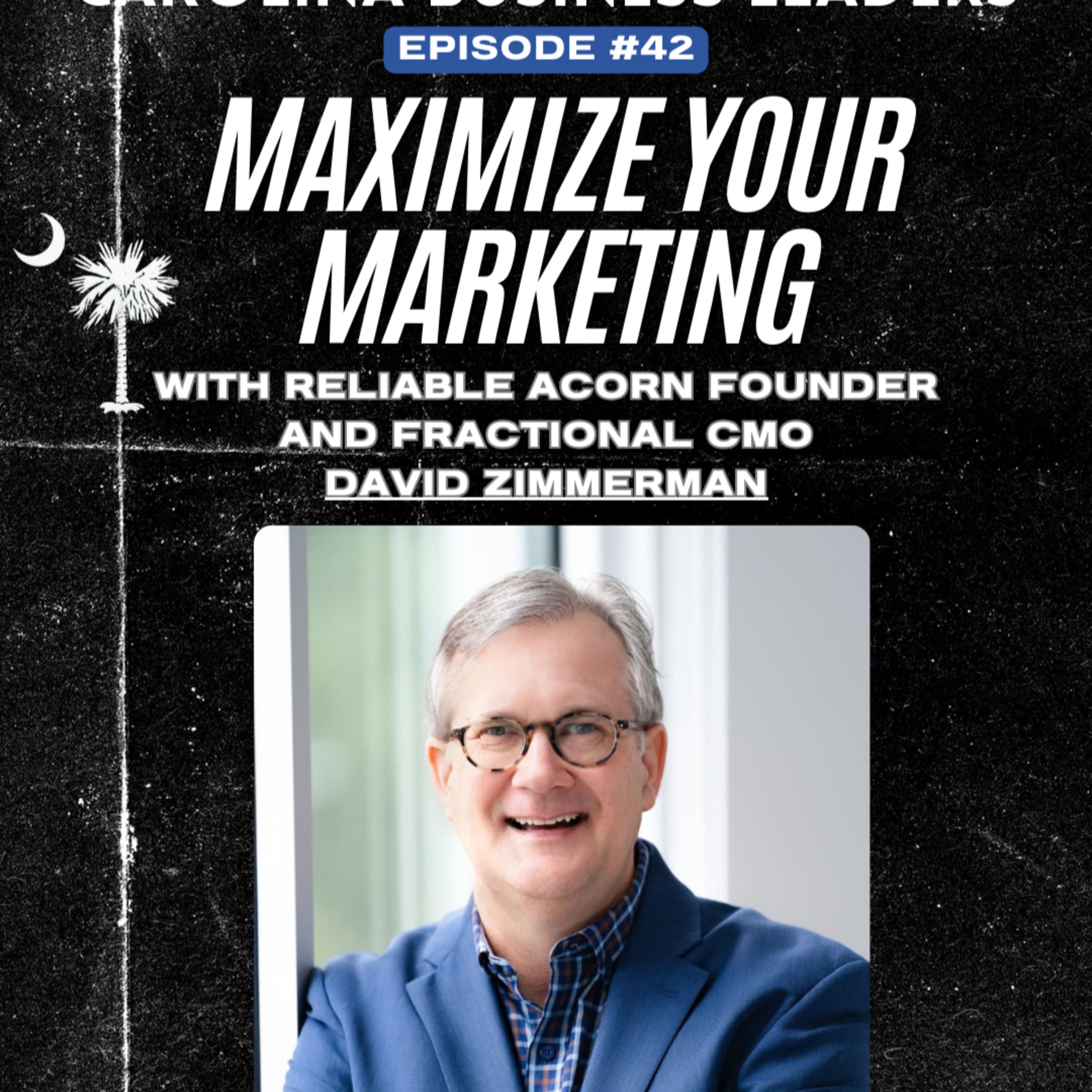 David Zimmerman: Maximizing Your Marketing from a Fractional CMO | EP 42